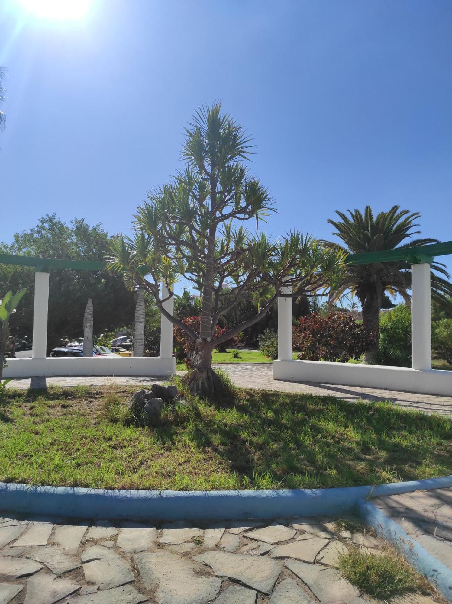 Maria Luxury Apartament Golf Del Sur Tenerife San Miguel de Abona Exterior foto